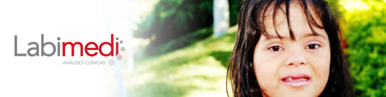 Css Template Preview