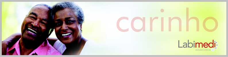 Css Template Preview