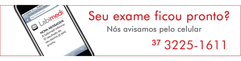 Css Template Preview